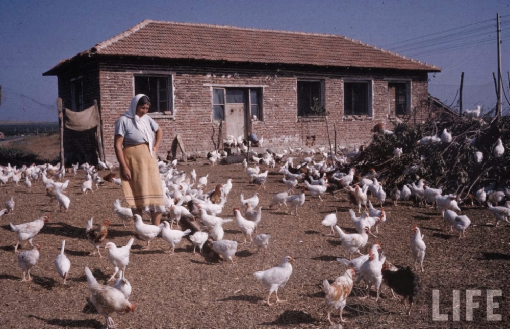 Уникални СНИМКИ от 1961 година показаха България такава, каквато отдавна не е!