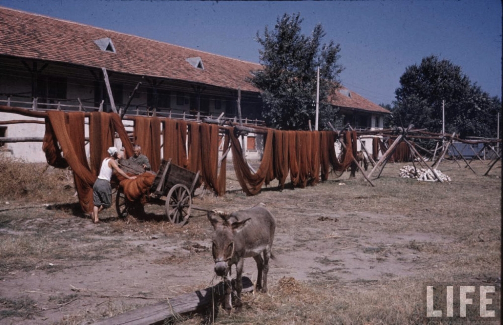 Уникални СНИМКИ от 1961 година показаха България такава, каквато отдавна не е!