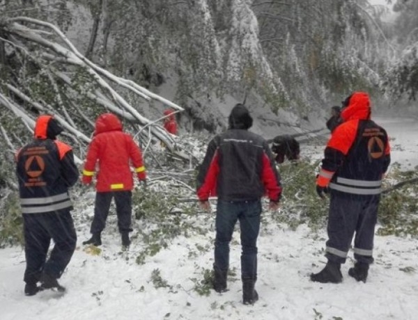 Снегът събори дървета край Петрохан, движението е невъзможно