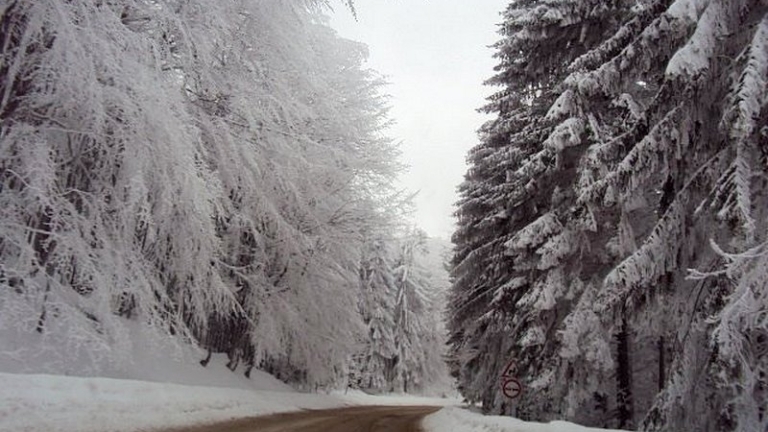 Синоптикът Петър Янков с плашеща прогноза: Зимата настъпва с пълна сила в... 