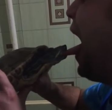 Безумец реши да целува костенурка и...хората със слабо сърце е по-добре да не гледат това ВИДЕО 