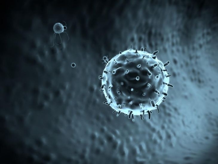 Какъв вирус е "Виромът" и защо е важен за здравето ни