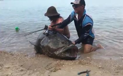 Рибари извадиха истинско чудовище от океана (ВИДЕО)