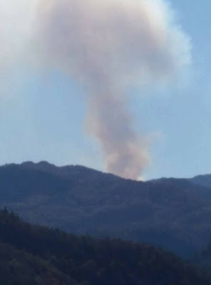 Пожарът в Гръцко заплашително настъпва към Родопите 