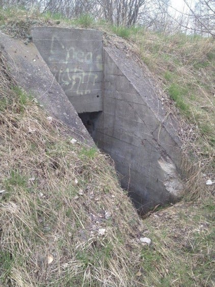 Приятели се натъкнаха на странни тръби в гората. Това, което откриха в тях, ги хвърли в ужас (СНИМКИ)