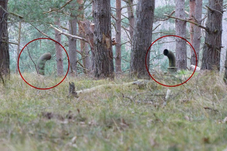 Приятели се натъкнаха на странни тръби в гората. Това, което откриха в тях, ги хвърли в ужас (СНИМКИ)