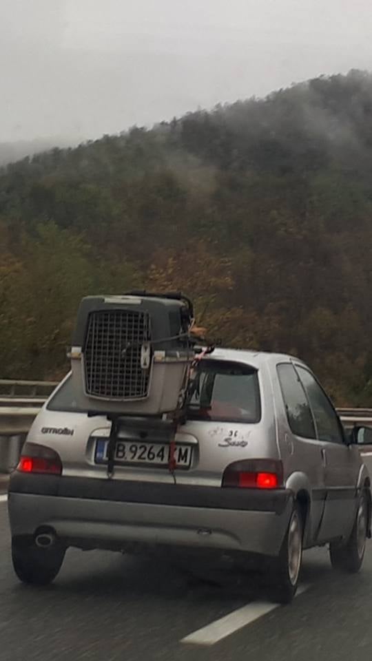 Само в БЛИЦ! Ужасяваща сцена на АМ "Хемус"! (СНИМКИ)