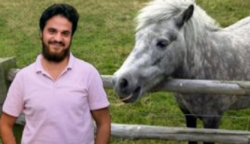 Шок и ужас! 23-годишен бежанец изнасили жестоко малко пони в берлински зоопарк 