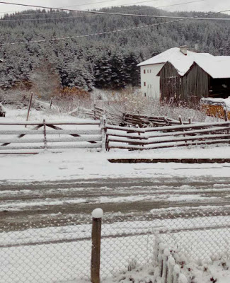 Побеля и в Родопите! Най-много сняг в родното село на Мустафа Карадайъ (СНИМКИ)