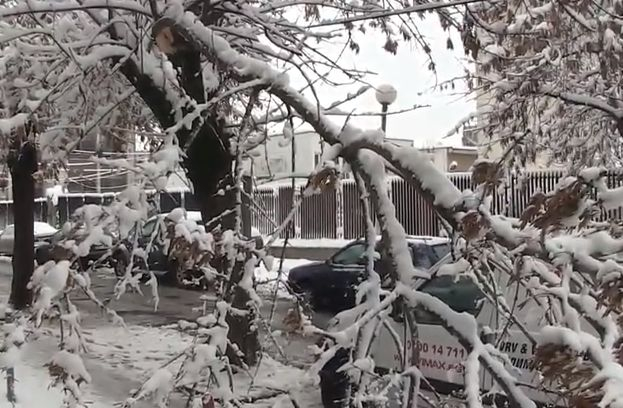 БЛИЦ TV: Падна сняг и създаде големи поразии в София