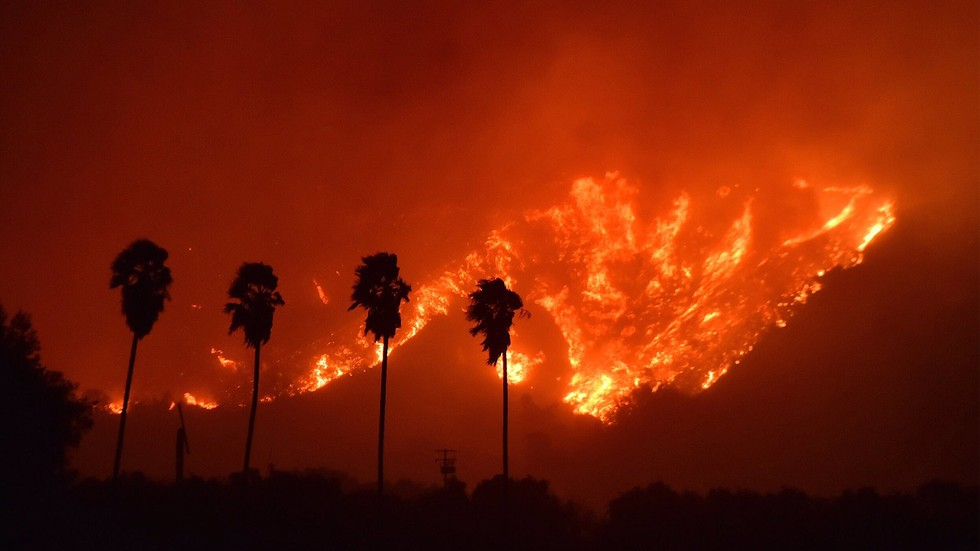 Огромно сърце! Мъж скочи да спаси зайче от пожарите, бушуващи в Калифорния (ВИДЕО)