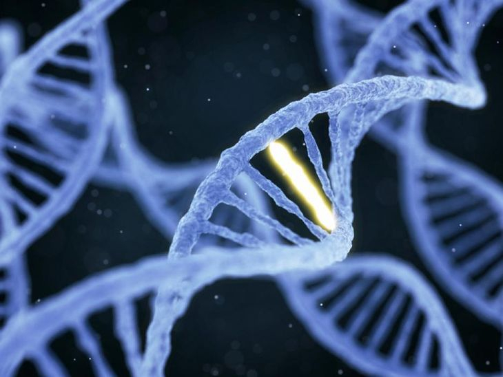 10 интересни факта за ДНК-то