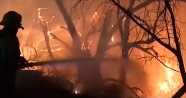 От полицията с последна информация за огнения ад в Новозагорско 