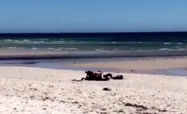 Развратна двойка прави секс на плажа посред бял ден пред очите на шокираните очевидци (СНИМКИ/ВИДЕО 18+)  