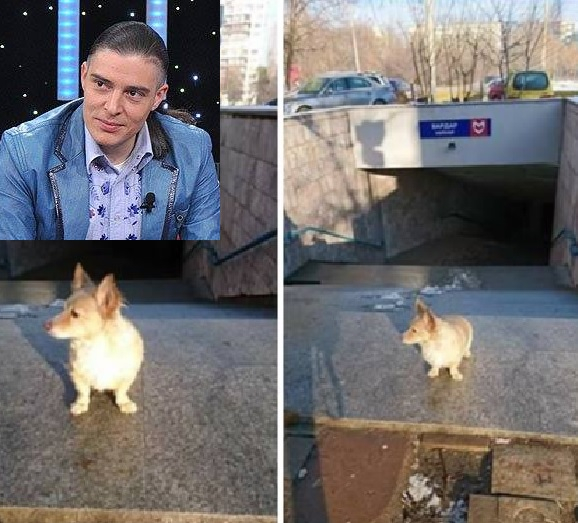 Иван, синът на отвлечения Киро Киров, прибира кучета в беда