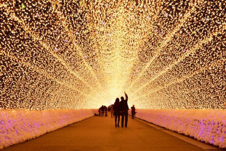 Ще останете с отворена уста! Това са впечатляващите японски тунели на светлината (СНИМКИ)