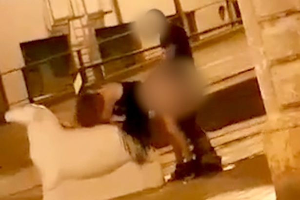 Двойка любовчии се посвети на секс в центъра на град и шокира смаяните очевидци (СНИМКИ/ВИДЕО 18+)