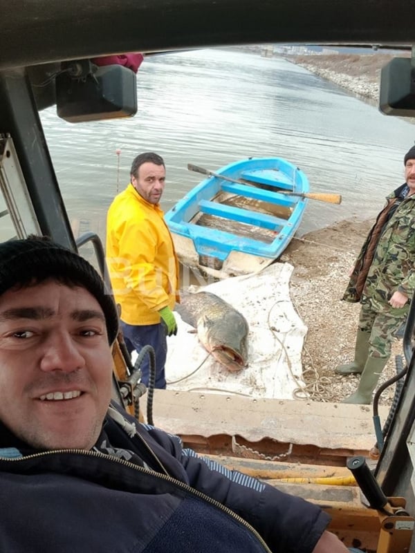 Над двуметрово чудовище изплува от врачански язовир! Рибари и спецтехника се бориха със стокилограмовия звяр (СНИМКИ 18+)