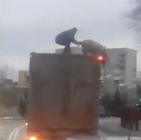 Украинец и свиня влязоха в епична битка на покрива на камион (ВИДЕО)