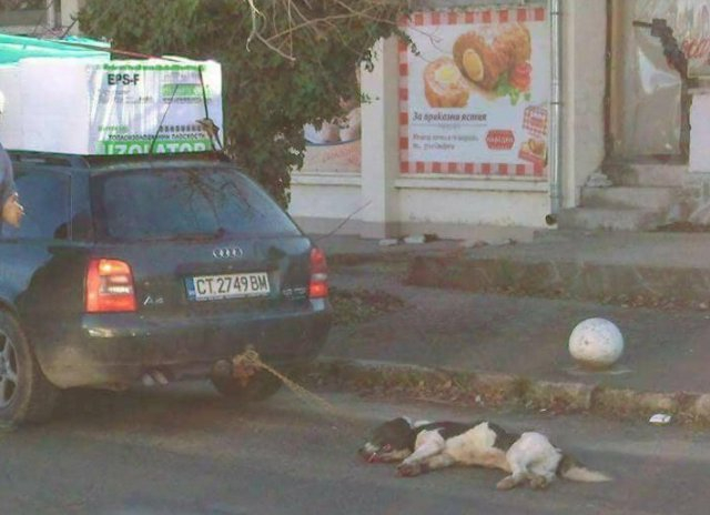 Добра новина! Спасиха кучето, вързано за кола в Бузовград