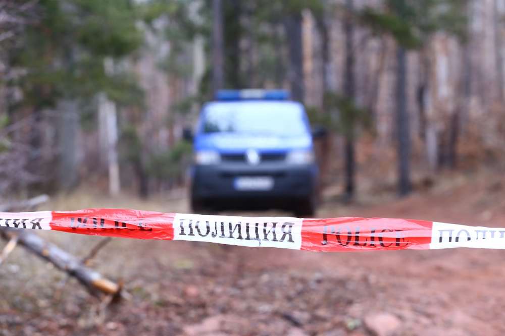Убиецът на Гошко спипан за ново електроубийство край Монтана 