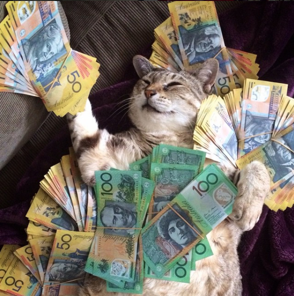 Как живеят богатите котки в Инстаграм? … В лукс и с много пари (СНИМКИ)
