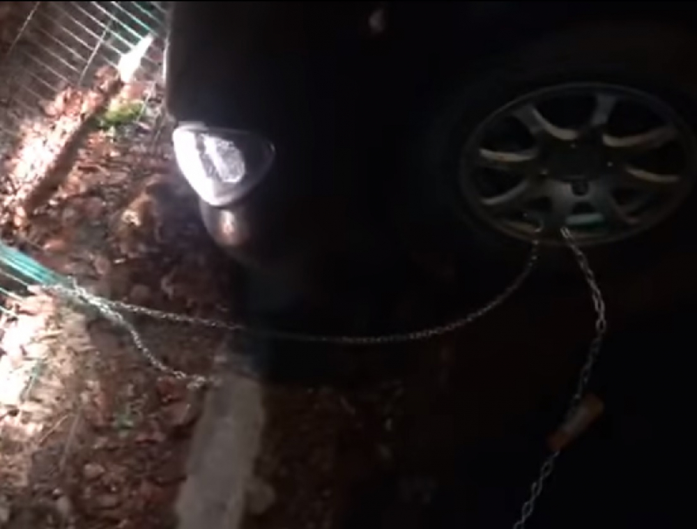 Служители на паяка отмъстиха хитро на шофьор, който се опита да ги прекара (ВИДЕО)