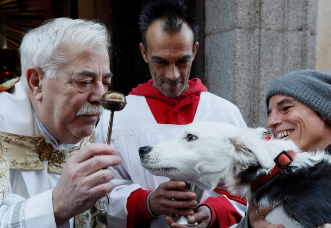 Десетки кучета чакаха на опашка за... благословия от свещеник (СНИМКИ)