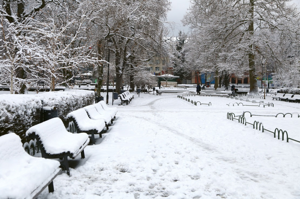 Синоптикът Евгения Егова посочи къде ще вали най-много сняг днес! (КАРТА)