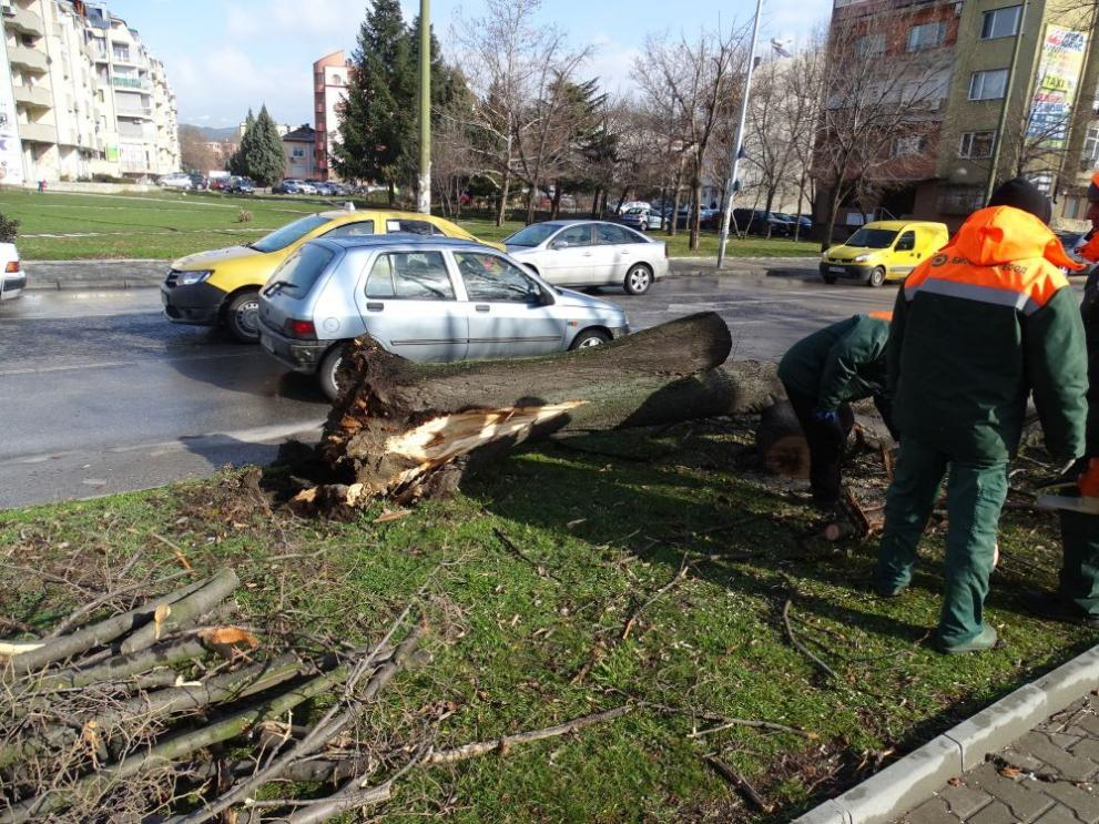 Ураганен вятър нанесе куп щети в Благоевградско (СНИМКИ)