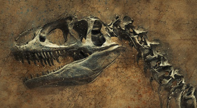 Фосил на 10-метров динозавър беше открит в Египет