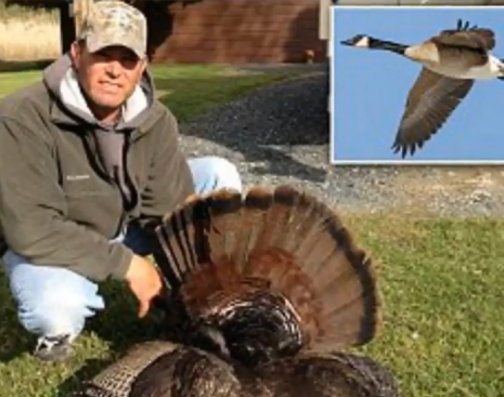 Ловец застреля гъска в небето, но тя му отмъсти лошо (ВИДЕО)