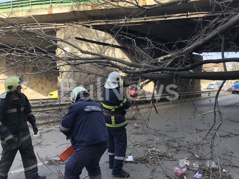 Апокалипсисът помете Враца! Циклонът обръща камиони наред, билбордове и ламарини падат - едва не обезглавиха двама мъже, линейки летят към спешното (СНИМКИ/ВИДЕО)