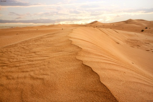 В пустините на Оман започва мисията "Амадий" 18", която ще промени света