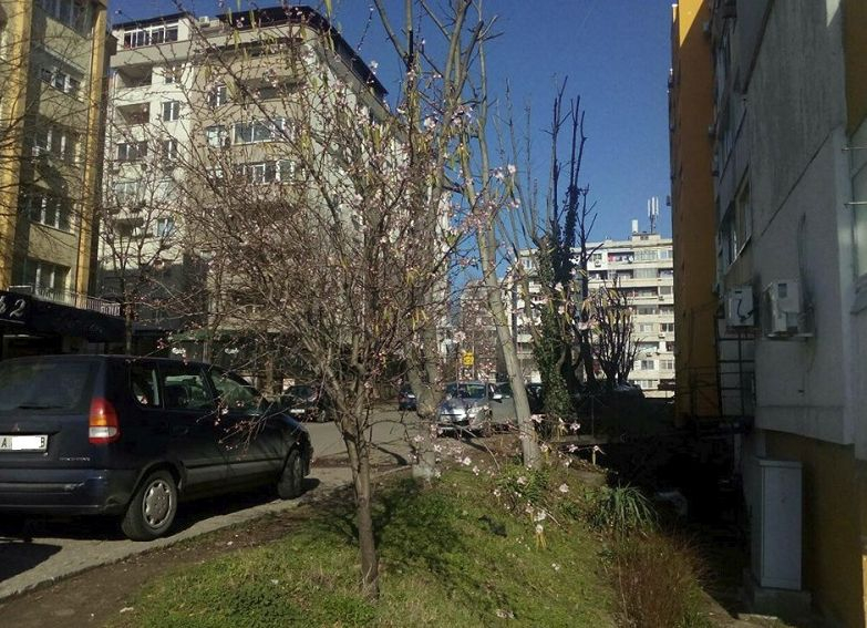 В Бургас вече е пролет! В "Меден рудник" гледат и не вярват на очите си (СНИМКИ)