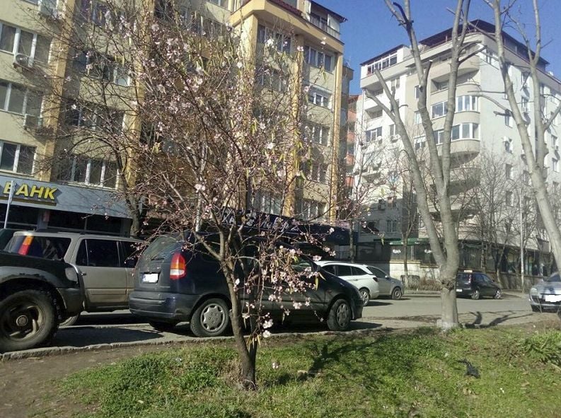 В Бургас вече е пролет! В "Меден рудник" гледат и не вярват на очите си (СНИМКИ)