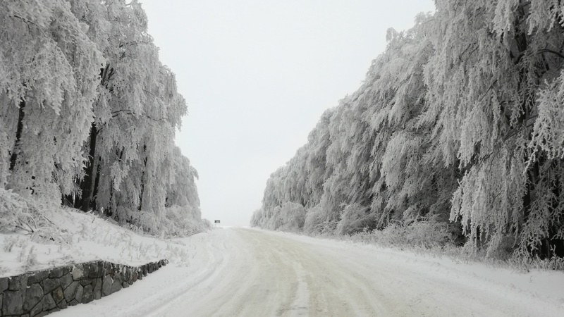 Внимание, шофьори! Покрай Пловдив шофирането е много опасно заради снега