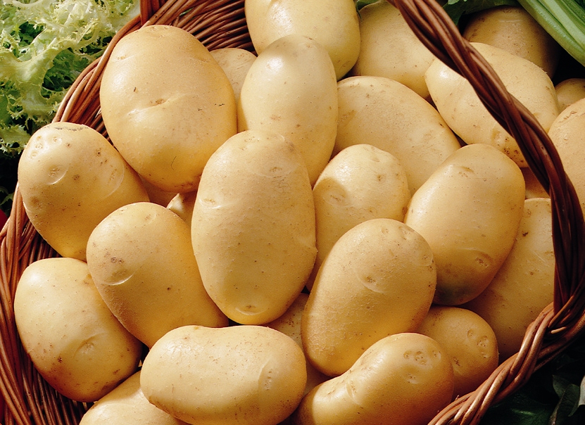 Учени разбиха мита за вредните картофи и описаха ползите от тях в 60-страничен доклад