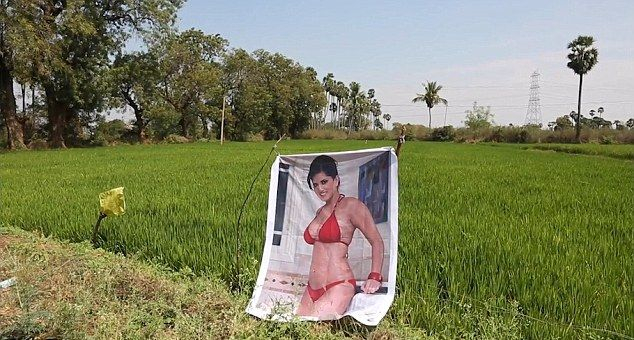 Фермер отгледа богата реколта благодарение на порнозвезда в градината си (СНИМКИ)