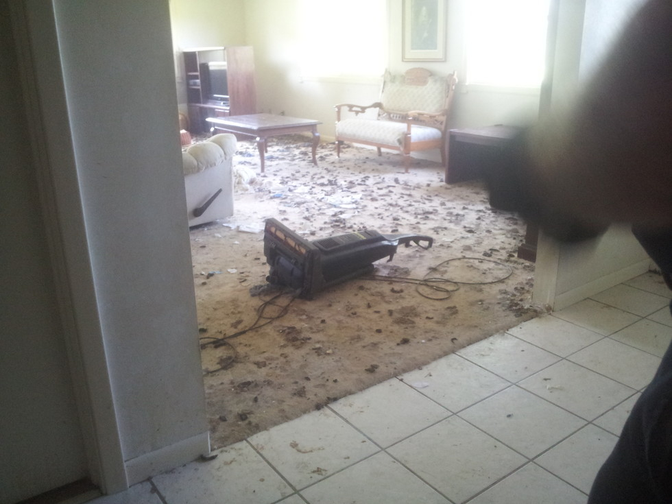 Социални работници ужасно съжалиха след като влязоха в апартамента на самотна домакиня и нейните 40 котки. Вижте потресаващата гледка! (СНИМКИ)