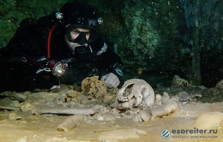Невероятно: Череп с микрочип на 12000 години открит в подводна пещера край Мексико