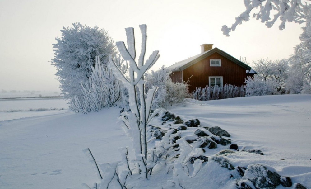Как се справят скандинавците с мрачното зимно настроение? (СНИМКИ)