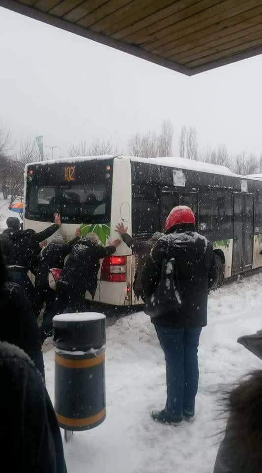 Само в БЛИЦ! Невероятни СНИМКИ от снежна София ще разплачат всички...от смях