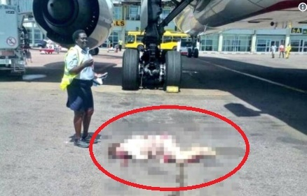 От последните минути: Разбра се коя е българската стюардеса, паднала от "Боинг 777" на "Емирейтс" (СНИМКИ 18+)