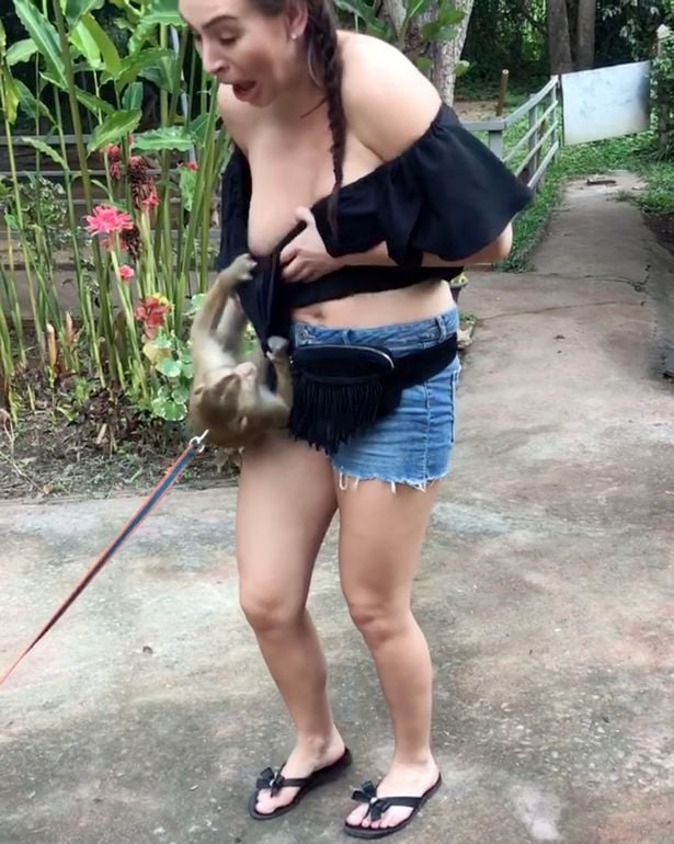 Маймунка разголи гърдите на девойка в зоологическата градина (СНИМКИ/ВИДЕО 18+)