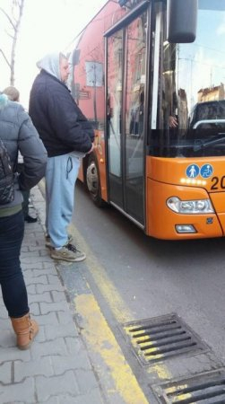 Агресивен кибик тероризира хората, които искат да пътуват от София към Перник с частни коли (СНИМКИ)