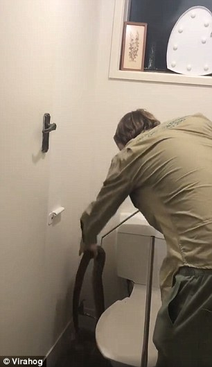 Агресивен питон изненада тийнейджър в тоалетна, обви се около крака му и... (СНИМКИ/ВИДЕО)