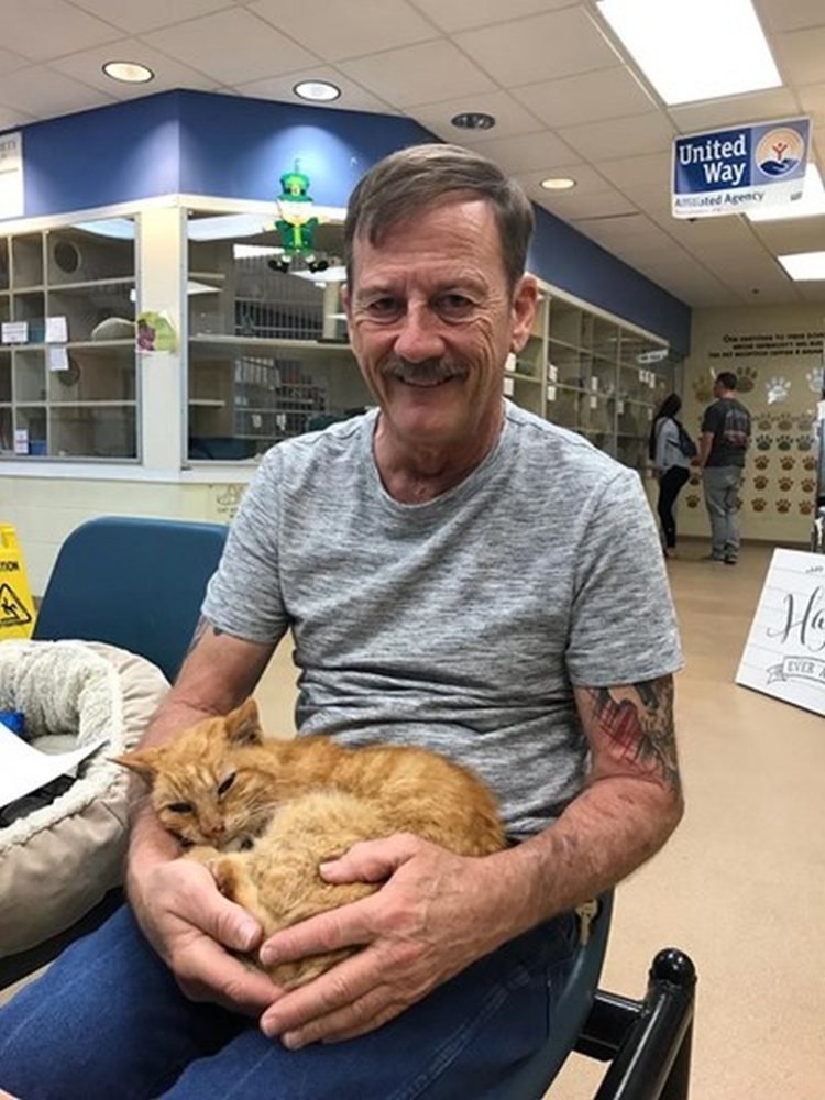 Мъж откри изгубената си преди 14 години любима котка (СНИМКА)
