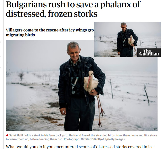 Българинът с щъркелите Сафет Халид стана новина на The Guardian