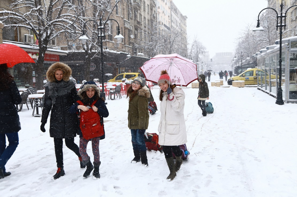 И в България, и в Русия зимата няма да е зима! Синоптик от Москва опроверга ледения Апокалипсис на НАСА